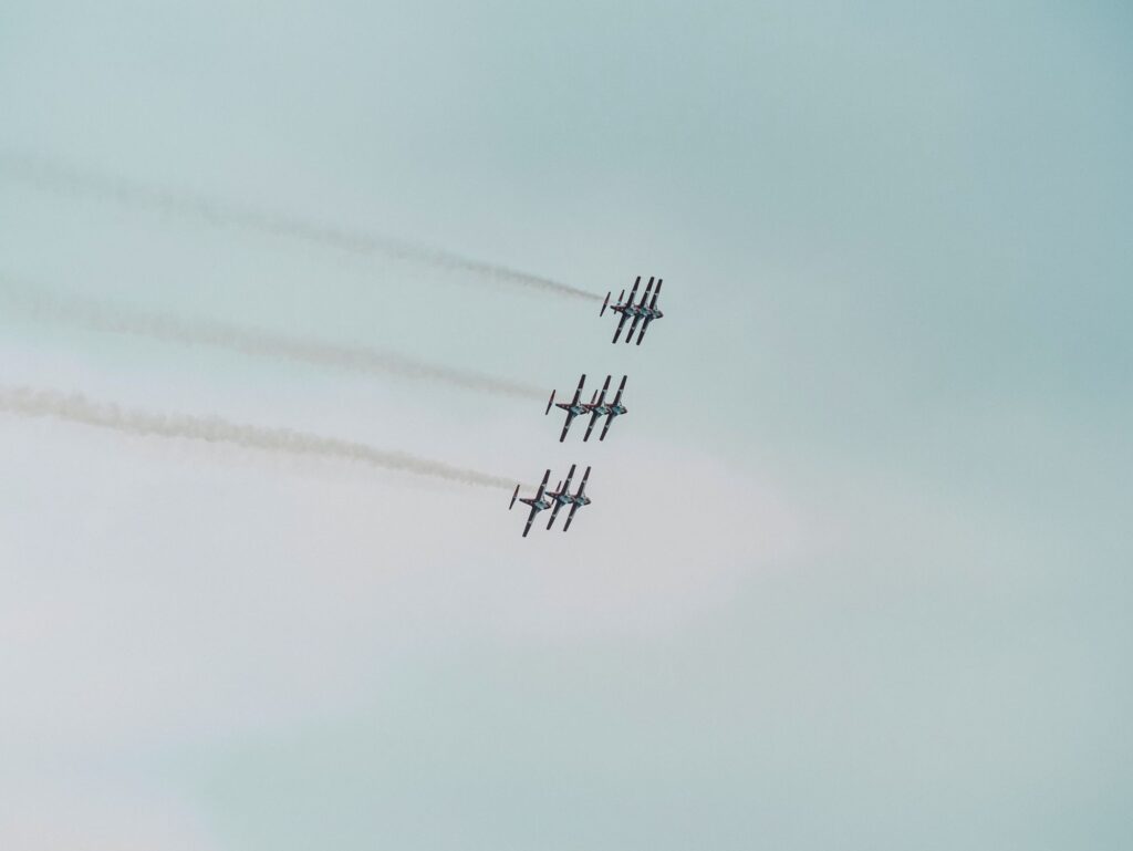 snowbirds in the air
