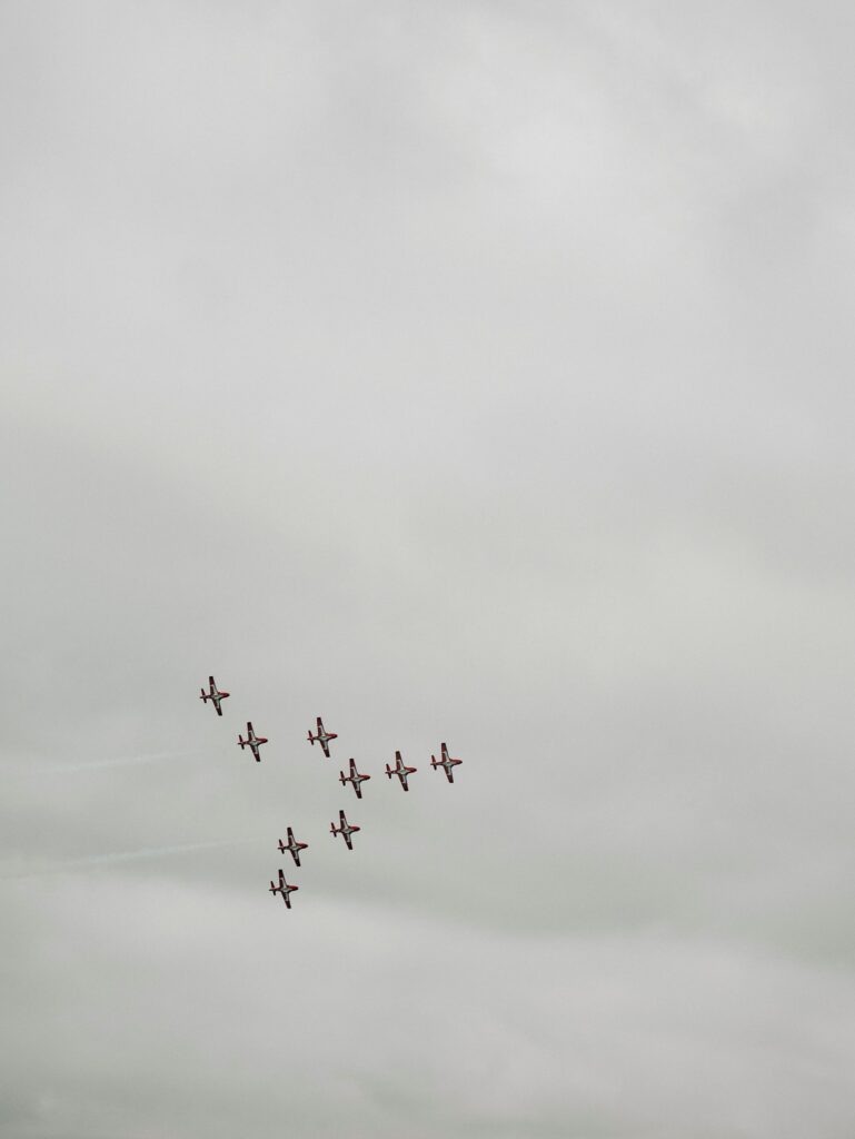 snowbirds in the air